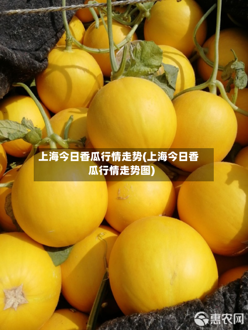 上海今日香瓜行情走势(上海今日香瓜行情走势图)-第3张图片