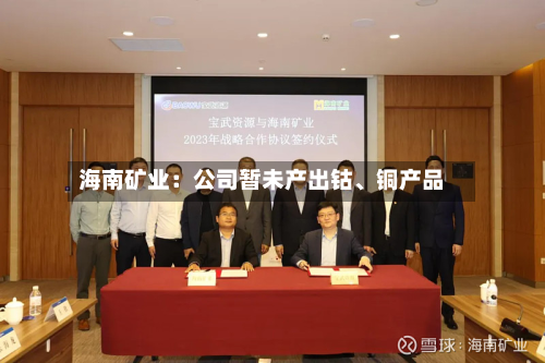 海南矿业：公司暂未产出钴、铜产品-第1张图片