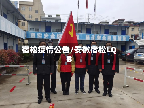 宿松疫情公告/安徽宿松LQB-第2张图片