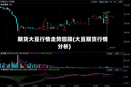 期货大豆行情走势回顾(大豆期货行情分析)-第2张图片