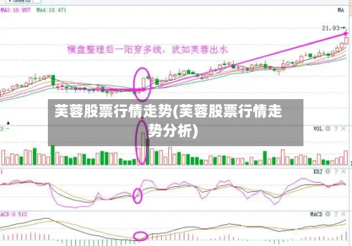 芙蓉股票行情走势(芙蓉股票行情走势分析)-第3张图片