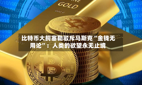 比特币大鳄塞勒驳斥马斯克“金钱无用论	”：人类的欲望永无止境-第3张图片