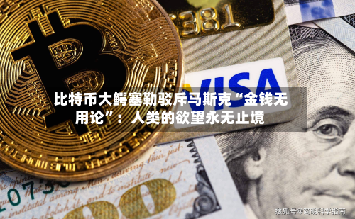 比特币大鳄塞勒驳斥马斯克“金钱无用论”：人类的欲望永无止境-第2张图片