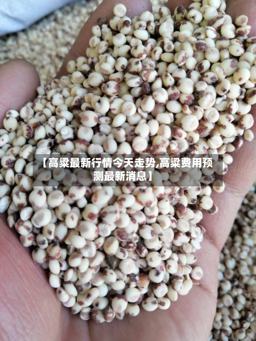 【高粱最新行情今天走势,高粱费用预测最新消息】-第1张图片