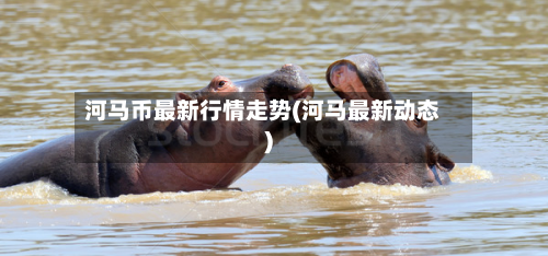 河马币最新行情走势(河马最新动态)-第2张图片