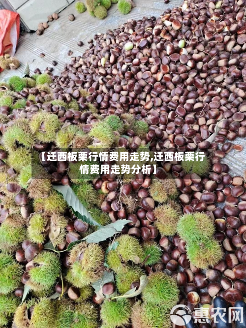 【迁西板栗行情费用走势,迁西板栗行情费用走势分析】-第2张图片