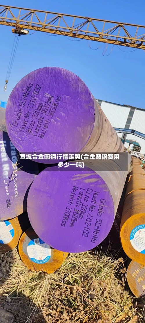 宣城合金圆钢行情走势(合金圆钢费用多少一吨)-第1张图片