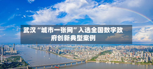 武汉“城市一张网”入选全国数字政府创新典型案例-第2张图片