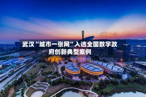 武汉“城市一张网	”入选全国数字政府创新典型案例-第1张图片