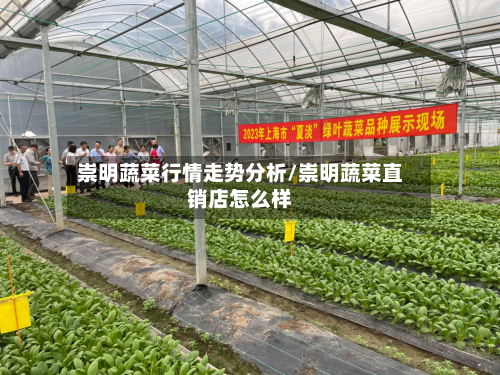 崇明蔬菜行情走势分析/崇明蔬菜直销店怎么样-第2张图片