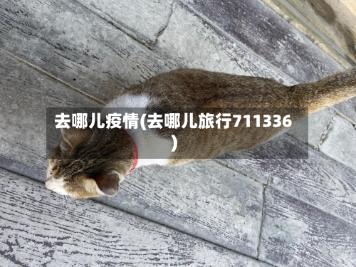 去哪儿疫情(去哪儿旅行711336)-第1张图片