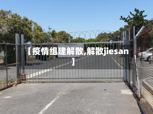 【疫情组建解散,解散jiesan】-第3张图片