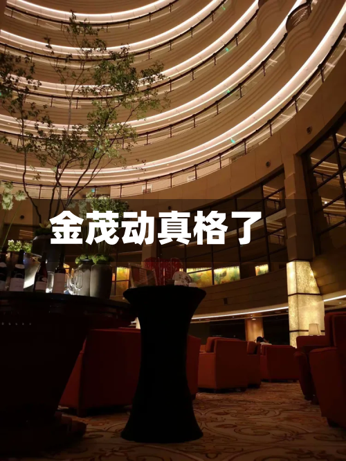 金茂动真格了-第1张图片