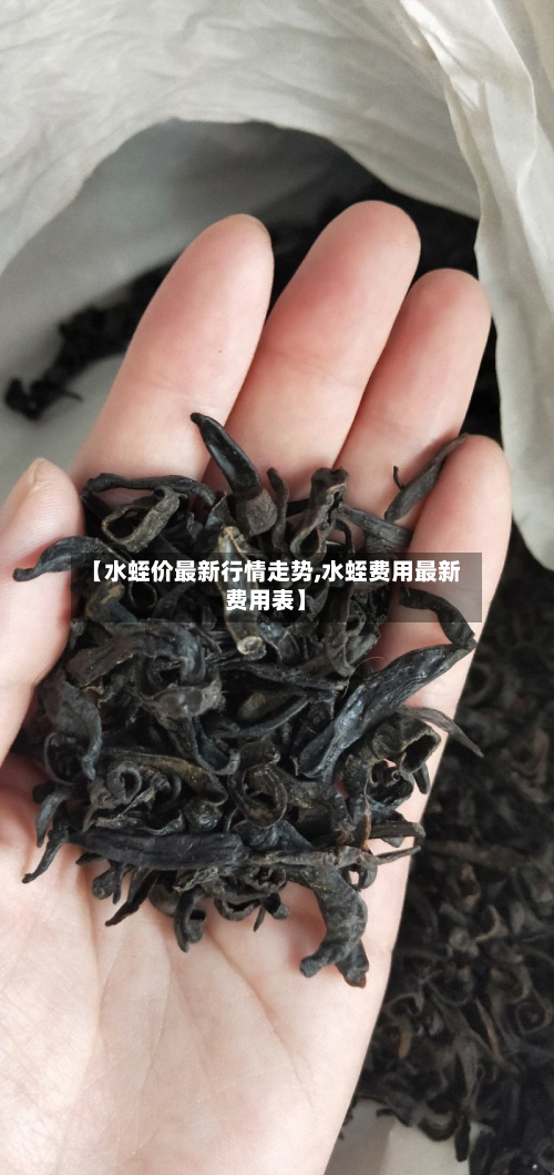 【水蛭价最新行情走势,水蛭费用最新费用表】-第1张图片