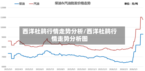 西洋杜鹃行情走势分析/西洋杜鹃行情走势分析图-第2张图片