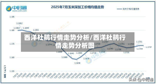 西洋杜鹃行情走势分析/西洋杜鹃行情走势分析图-第3张图片