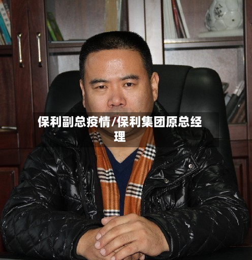 保利副总疫情/保利集团原总经理-第3张图片