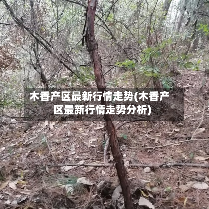 木香产区最新行情走势(木香产区最新行情走势分析)-第2张图片