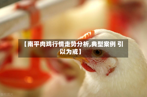 【南平肉鸡行情走势分析,典型案例 引以为戒】-第2张图片