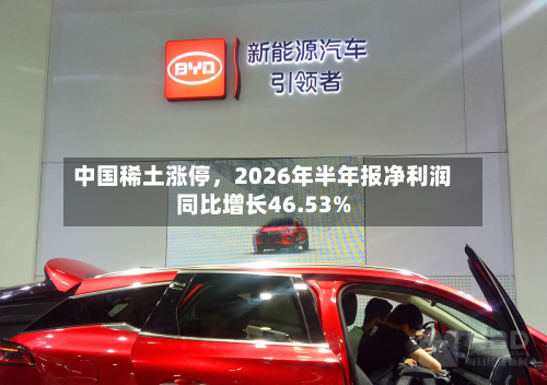 中国稀土涨停，2026年半年报净利润同比增长46.53%-第1张图片