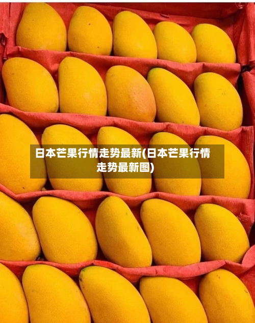 日本芒果行情走势最新(日本芒果行情走势最新图)-第1张图片