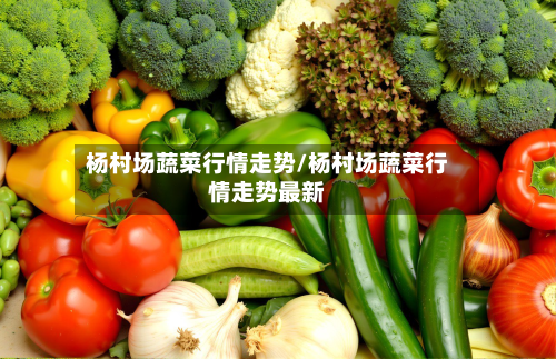 杨村场蔬菜行情走势/杨村场蔬菜行情走势最新-第1张图片