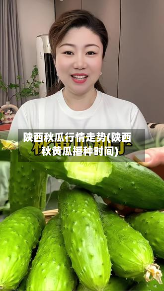 陕西秋瓜行情走势(陕西秋黄瓜播种时间)-第3张图片