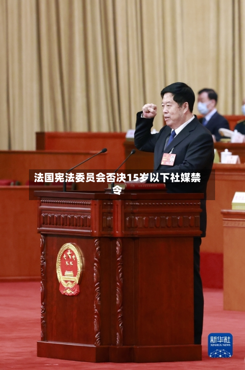 法国宪法委员会否决15岁以下社媒禁令-第1张图片