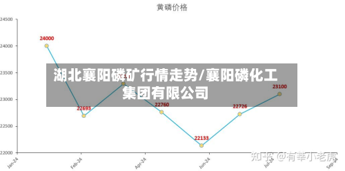 湖北襄阳磷矿行情走势/襄阳磷化工集团有限公司-第3张图片