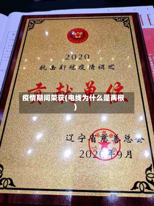 疫情期间荣获(电线为什么是两根)-第2张图片
