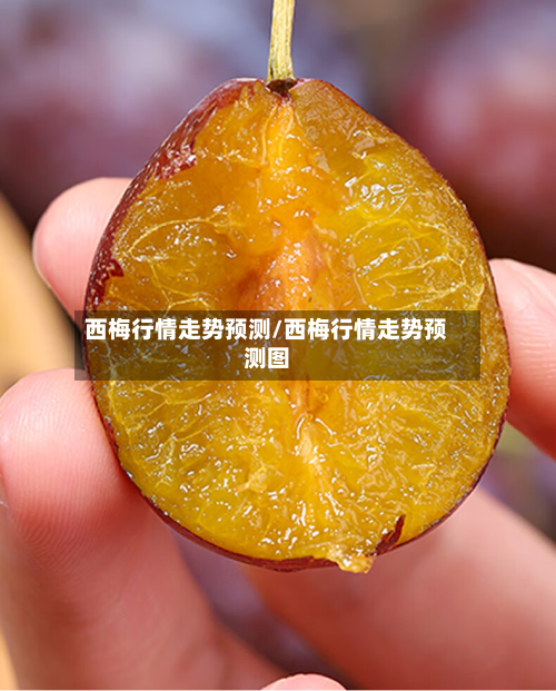 西梅行情走势预测/西梅行情走势预测图-第2张图片