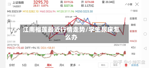 江南榴莲最近行情走势/学生尿床怎么办-第1张图片