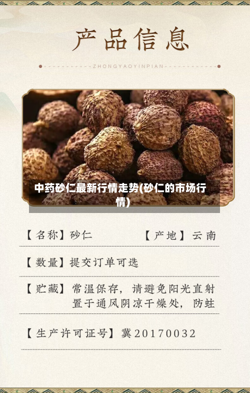 中药砂仁最新行情走势(砂仁的市场行情)-第3张图片