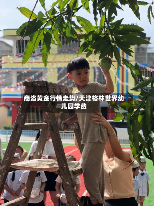 商洛黄金行情走势/天津格林世界幼儿园学费-第1张图片