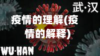 疫情的理解(疫情的解释)-第2张图片