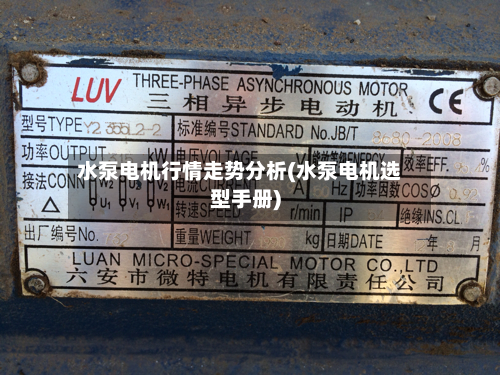 水泵电机行情走势分析(水泵电机选型手册)-第1张图片