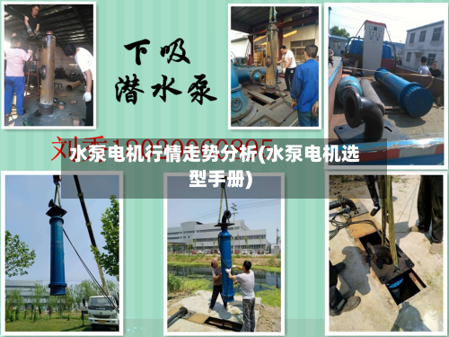 水泵电机行情走势分析(水泵电机选型手册)-第2张图片