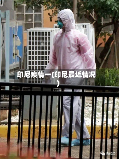 印尼疫情一(印尼最近情况)-第1张图片