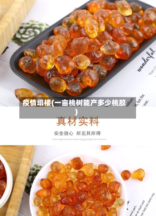 疫情塌楼(一亩桃树能产多少桃胶)-第1张图片