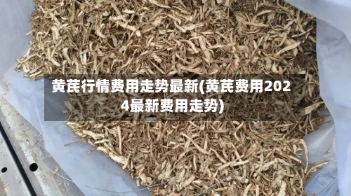 黄芪行情费用走势最新(黄芪费用2024最新费用走势)-第1张图片