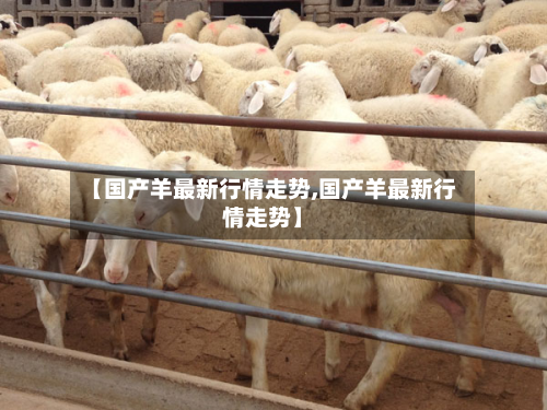 【国产羊最新行情走势,国产羊最新行情走势】-第1张图片