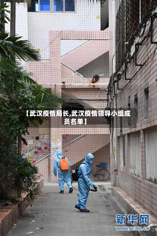 【武汉疫情局长,武汉疫情领导小组成员名单】-第1张图片