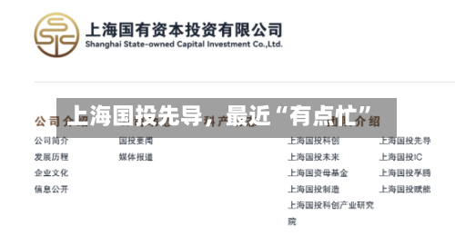 上海国投先导，最近“有点忙”-第2张图片