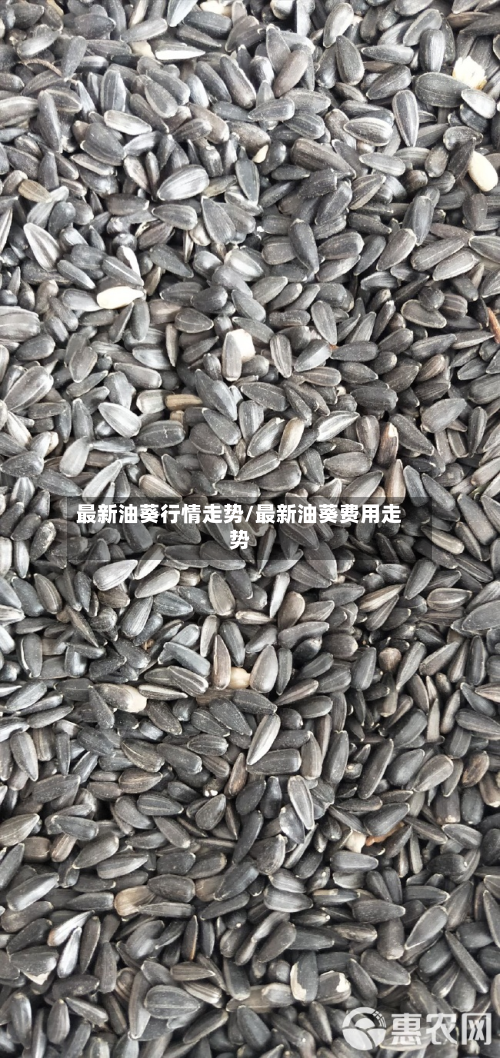 最新油葵行情走势/最新油葵费用走势-第1张图片