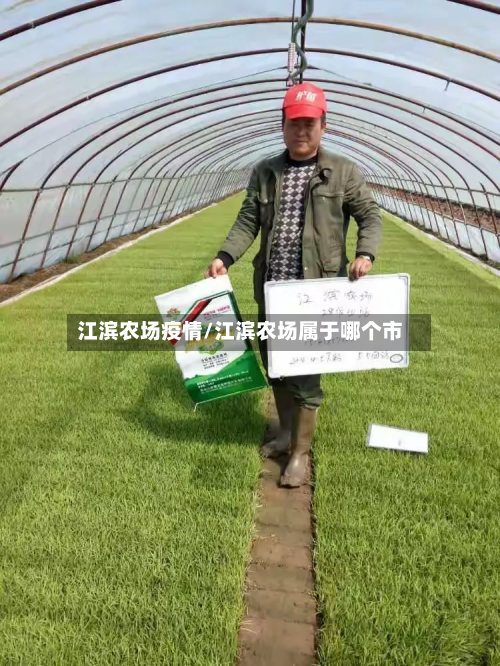 江滨农场疫情/江滨农场属于哪个市-第1张图片