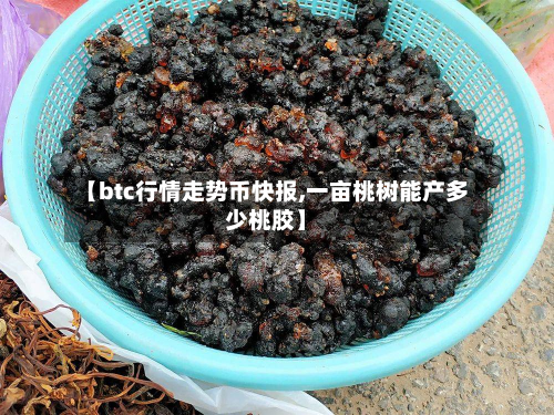 【btc行情走势币快报,一亩桃树能产多少桃胶】-第1张图片