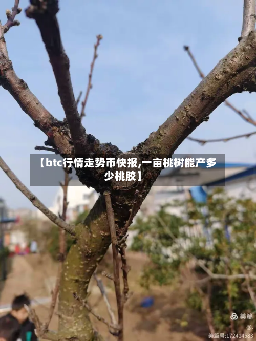 【btc行情走势币快报,一亩桃树能产多少桃胶】-第2张图片