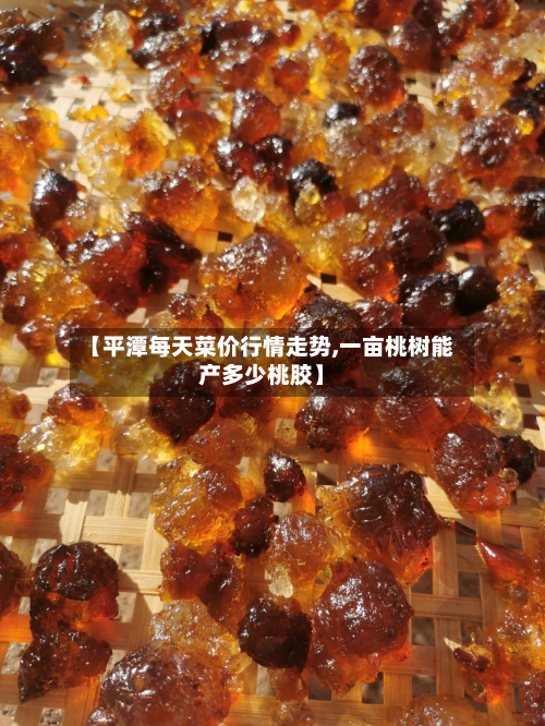 【平潭每天菜价行情走势,一亩桃树能产多少桃胶】-第1张图片