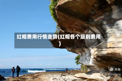 红帽费用行情走势(红帽各个级别费用)-第3张图片