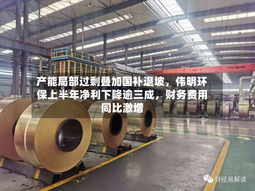 产能局部过剩叠加国补退坡	，伟明环保上半年净利下降逾三成，财务费用同比激增-第2张图片
